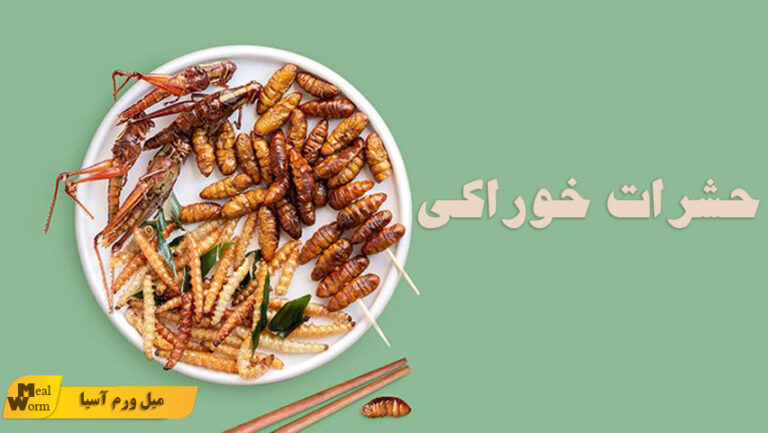 حشرات خوراکی
