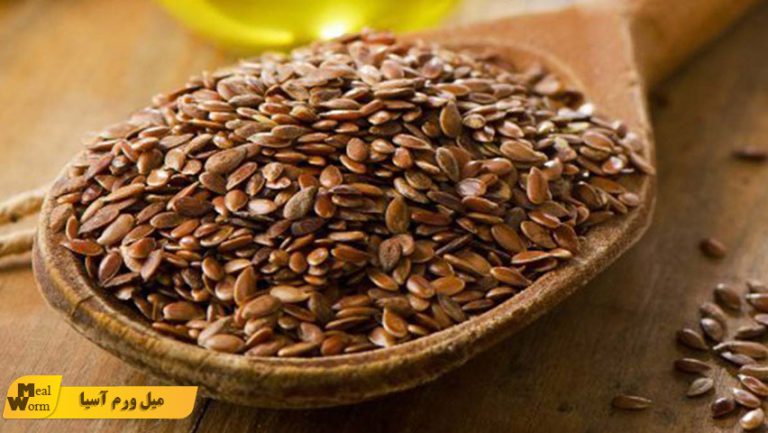 نقش تخم کتان در تغذیه پرنده