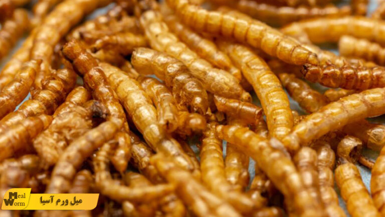 خواص میل ورم برای جوندگان