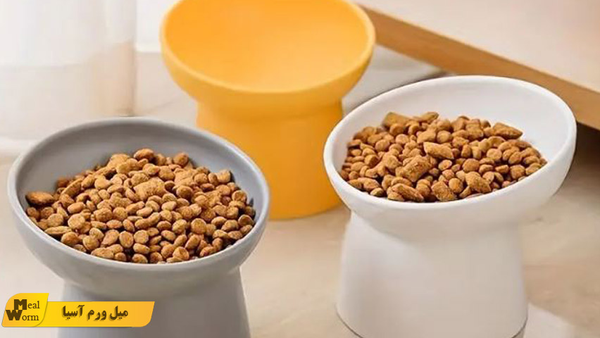 عمق و ارتفاع ظرف غذای گربه