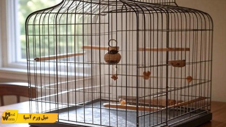 راهنمای انتخاب قفس پرندگان