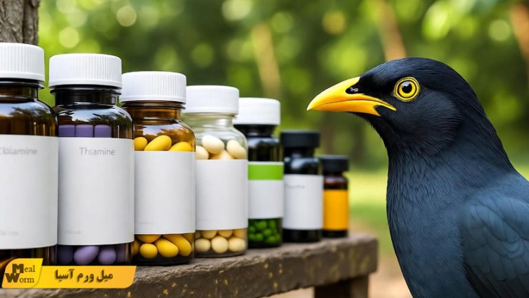 ویتامین ها و مکمل های مرغ مینا