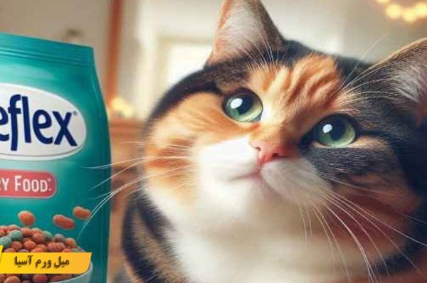 غذای رفلکس برای گربه