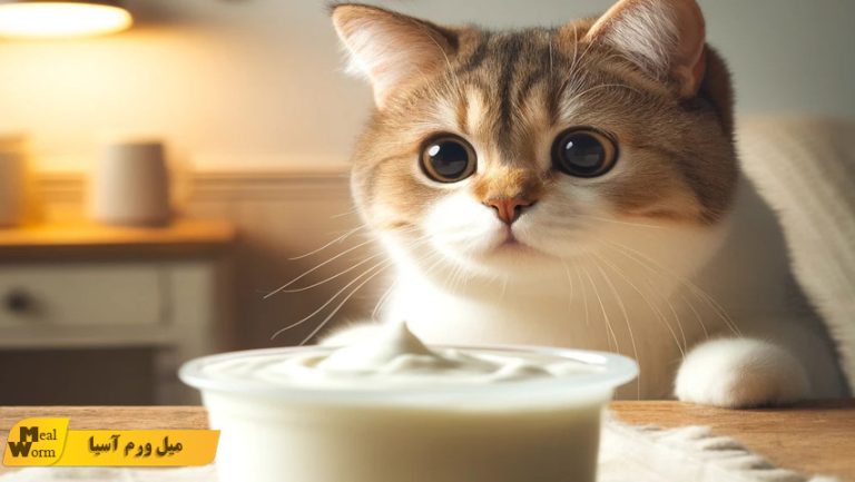 ماست برای گربه