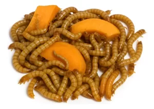 یک خوراک سالم و کاملا بهداشتی