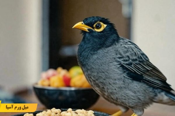 بیماری های گوارشی در مرغ مینا