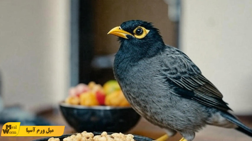 بیماری ‌های گوارشی در مرغ مینا