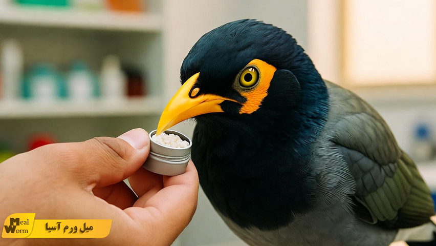 داروهای ضروری درمان مرغ مینا