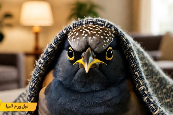 درمان سرماخوردگی مرغ مینا